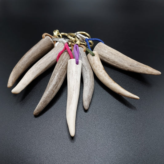 Large Deer Antler Tips