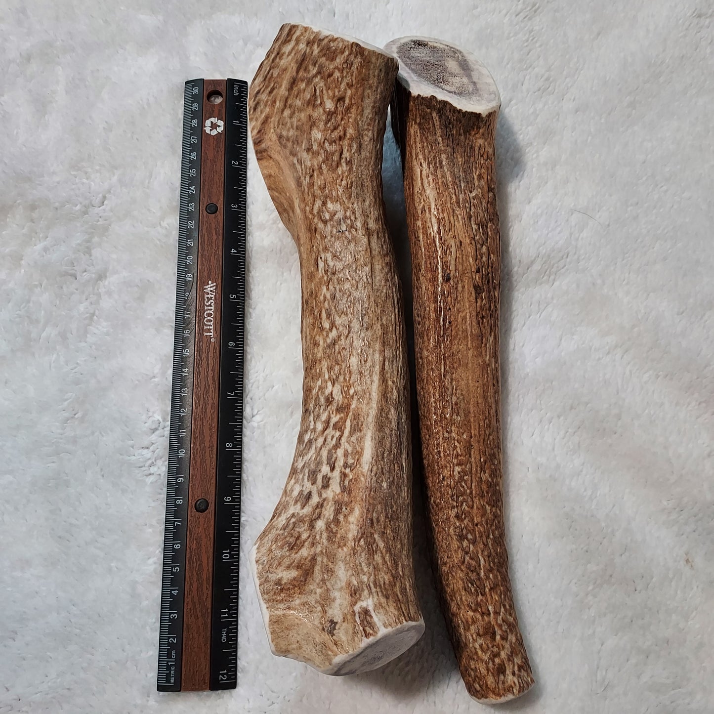 GIANT 12"+ Elk antler dog chew